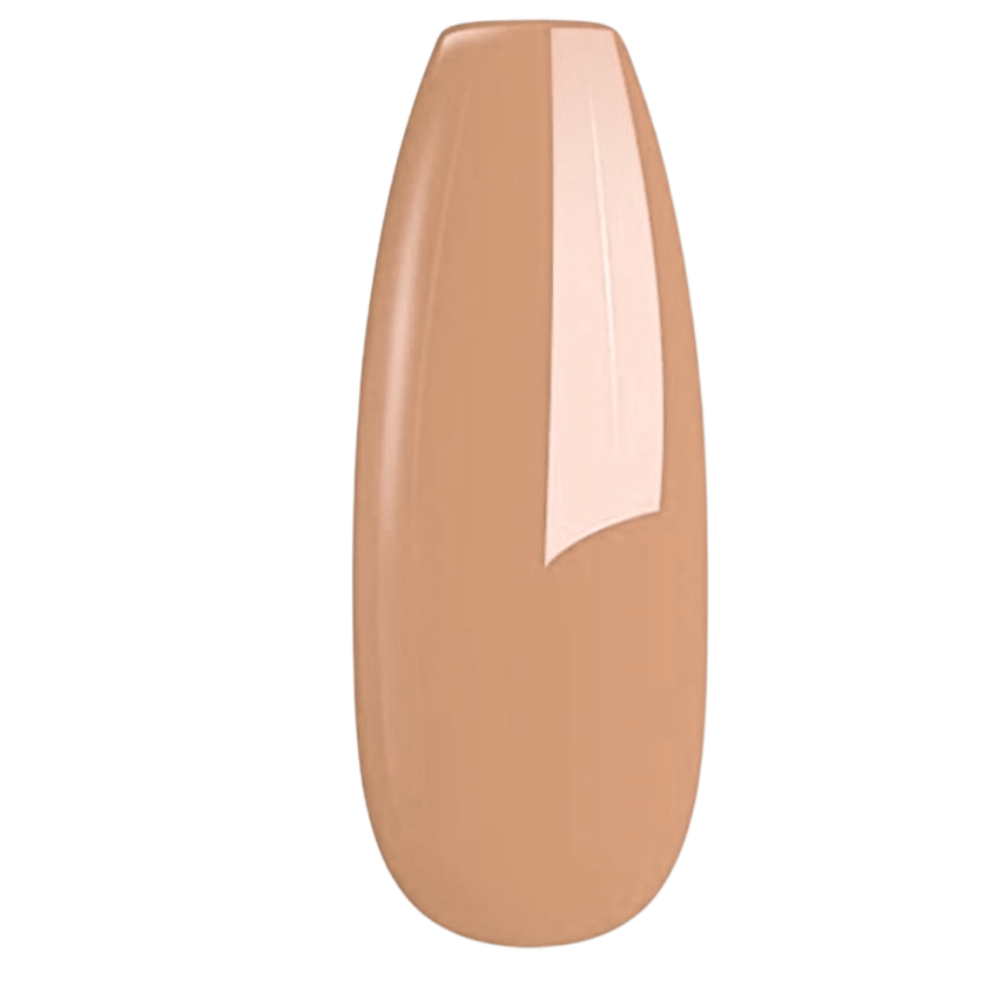 EuBeCos Saisonfarben Winter 2024/2025 Wetlook Farbgele