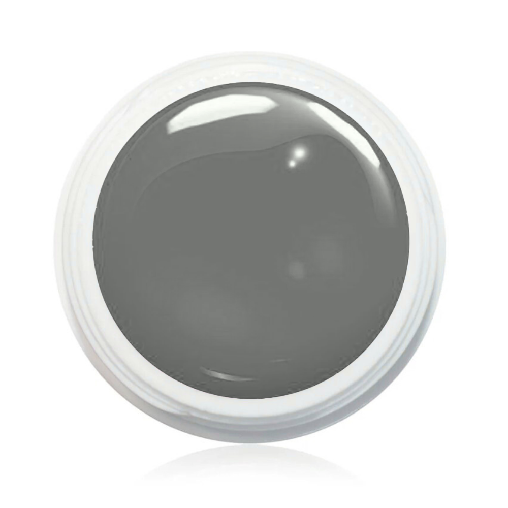 Wetlook Farbgel 5ml - WL231