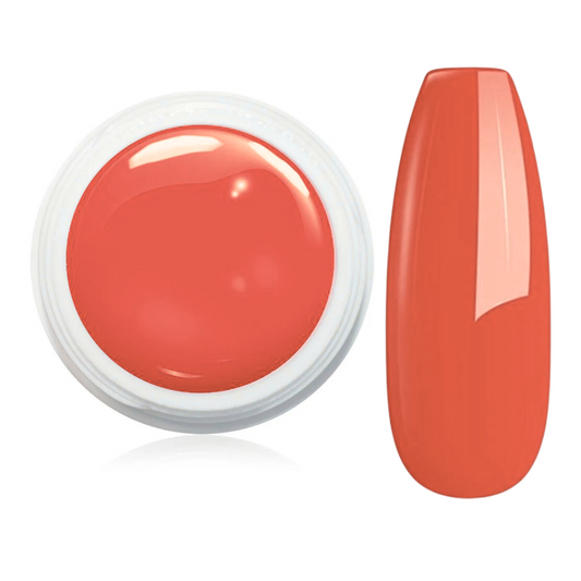 Wetlook Farbgel 5ml - WL01