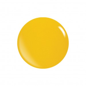 Acrylic Powder PURE Colors 453g