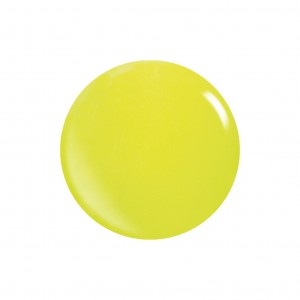 Acryl Puder NEON Farben 453g