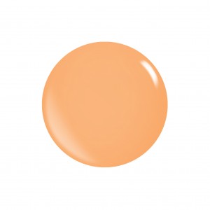 Acrylic Powder PASTEL Colors 453g